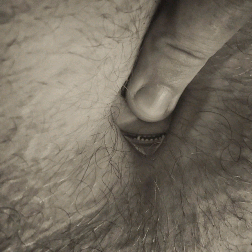 Pervanal : Fat, Angry and Hairy (Жирный, злой и волосатый)